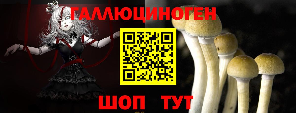 Псилоцибиновые грибы Cubensis  Галлюциногенные грибы MAGIC MUSHROOMS  купить закладку  Вход с VPN  Узловая 